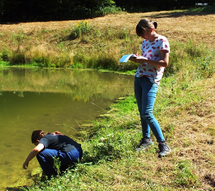 Teilnehmende untersuchen ein Gewässer.