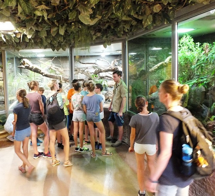 Teilnehmende beobachten Reptilien in gläsernen Gehegen.