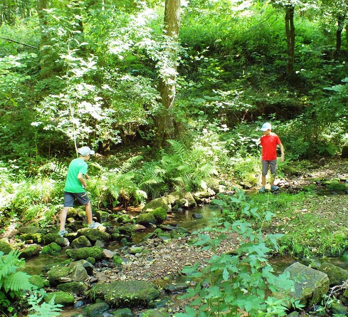Zwei Teilnehmende erforschen den Lauf eines kleinen Baches.